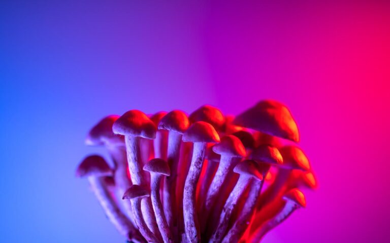 Magic Mushroom Backlink Building Five Stories the Industry Keeps Telling Itself